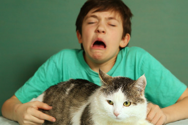 Аллергия у ребёнка