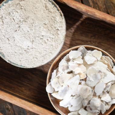 Калькарея карбоника